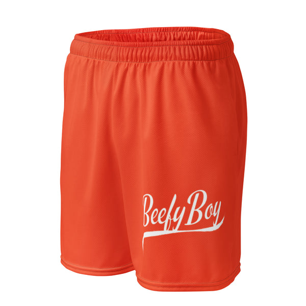 Baseball mesh shorts